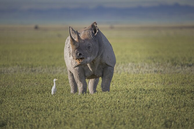 1-Day Ngorongoro Crater Group Safari - Frequently Asked Questions