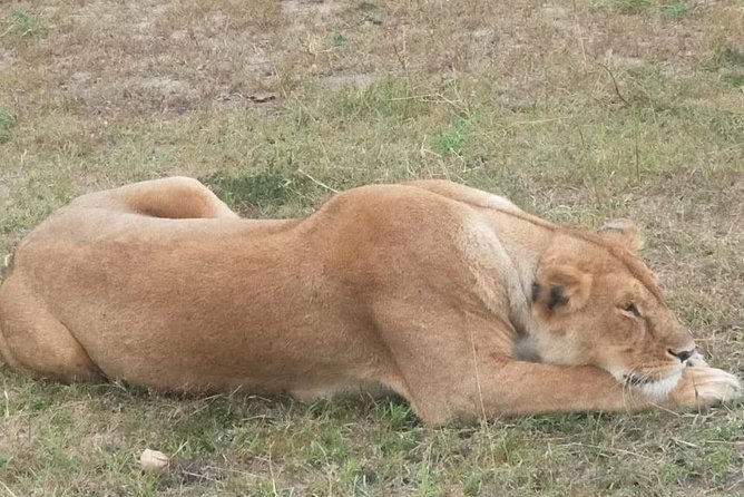 11 Days Guided Group Safari in Kenya And Tanzania - Packing Tips for Safari
