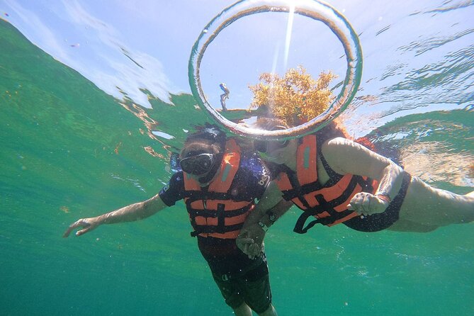 2 Hours of Snorkel at Puerto Morelos National Park - Frequently Asked Questions