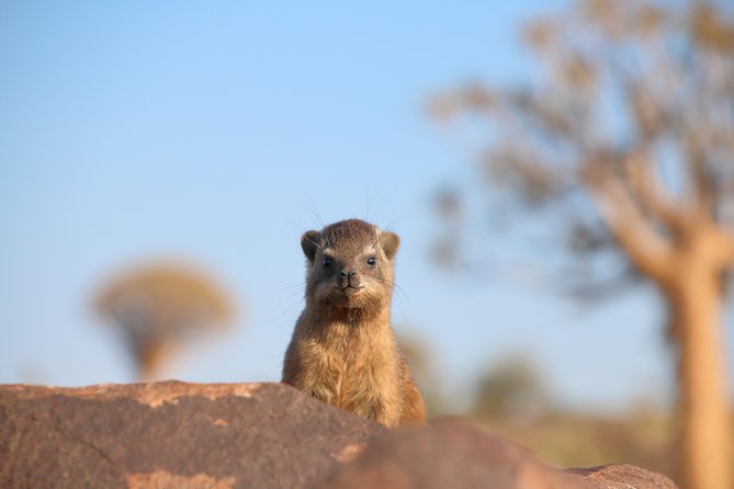 3-Day Tanzania Safari - Tarangire and Ngorongoro Crater - Important Travel Information