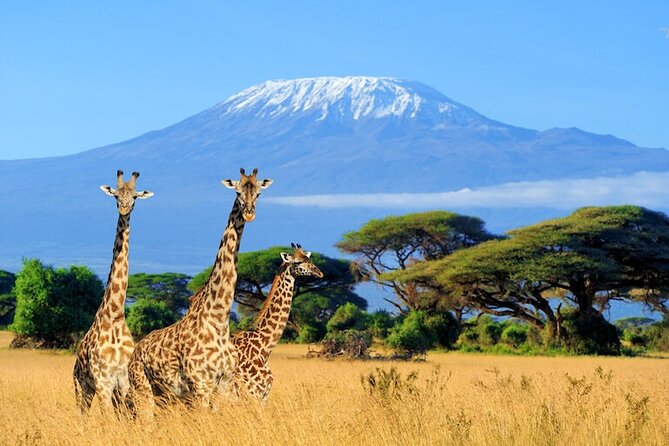 3 Days 2 Nights Amboseli Safari - Frequently Asked Questions