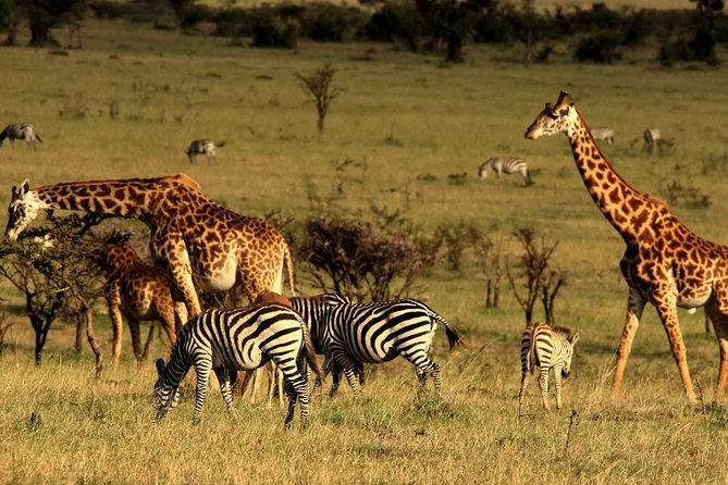 3 Days Amboseli National Park-Lodge Safari With Private 4x4 JEEP - Frequently Asked Questions