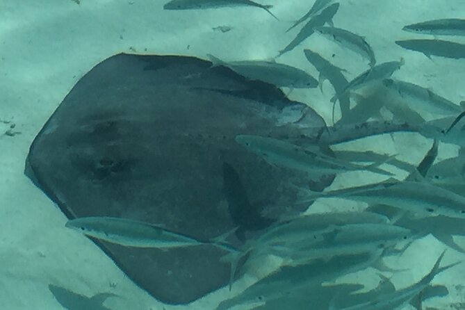 3 Hour Private Snorkeling in Marathon Florida - Additional Tips