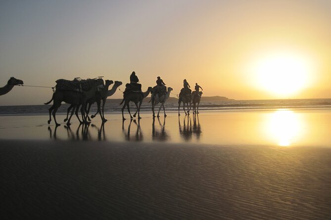 3 Hours Camel Ride in Essaouira With Dinner and Overnight in Berber Camp - Meeting Points and Accessibility