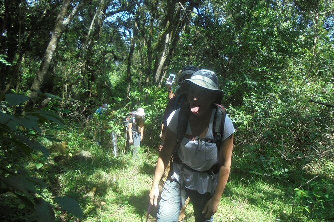 4 Days Mount Meru Climbing | Hiking | Trekking Tour - Customer Testimonials