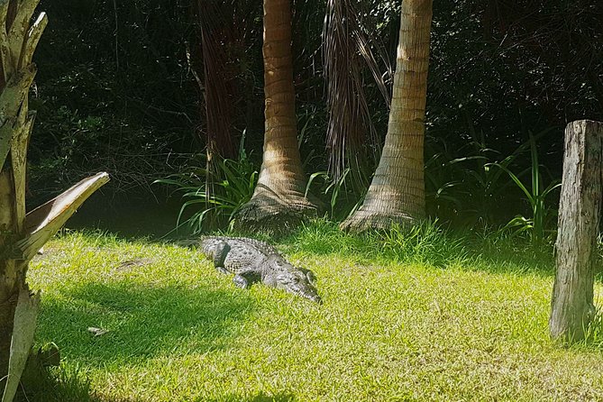 4-in-1 Tour - Mazunte,Cacao Factory, La Ventanilla & Turtle Spawn - Witnessing Turtle Spawning Event