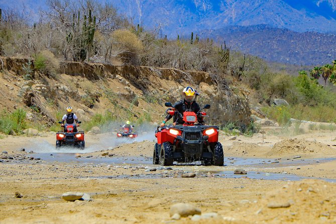 4x4 ATV Adventure With Tequila Tasting and Mexican Buffet Lunch - Reasons to Book This Tour