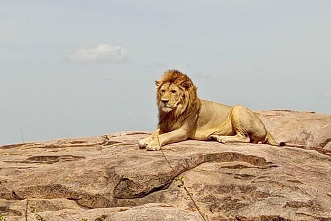 5 Days Safari In Serengeti And Ngorongoro - Traveler Reviews and Recommendations