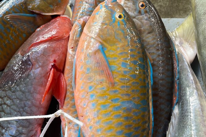 5 Hour Private Customize Tour of Mahe, Seychelles - Frequently Asked Questions