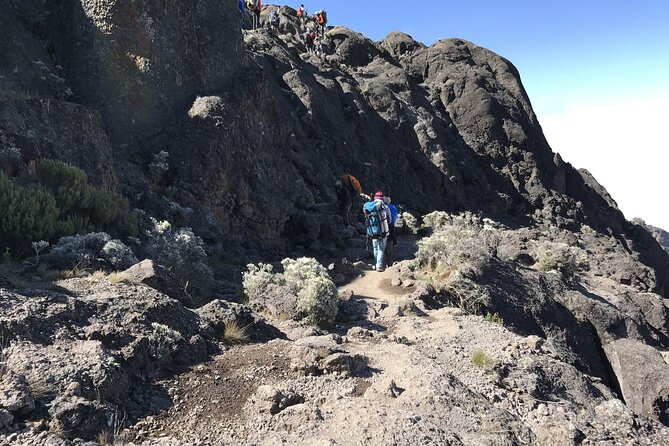 5D/4N Climbing Kilimanjaro Marangu (Coca-Cola Route). - Frequently Asked Questions