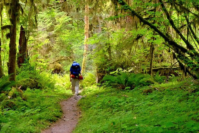 6-Day Backpacking Summer Camp Adventure in Olympic National Park - Questions About Your Stay