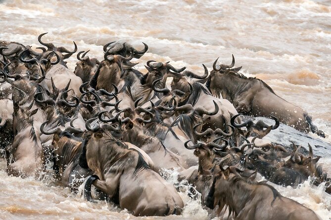6 Day Tanzania Budget Camping Safari From Arusha. - Frequently Asked Questions