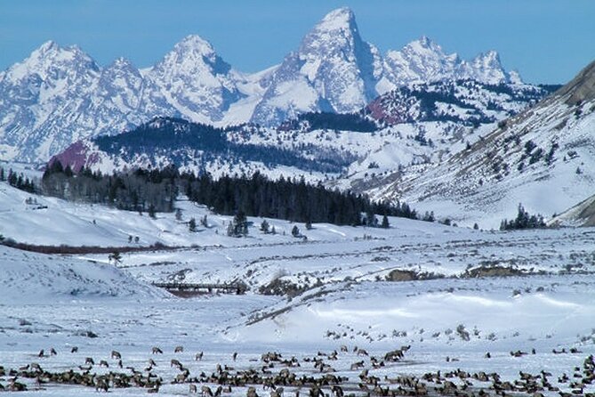 6-Day Tour of Yellowstone and Grand Teton Winter Adventure - Questions About Your Stay