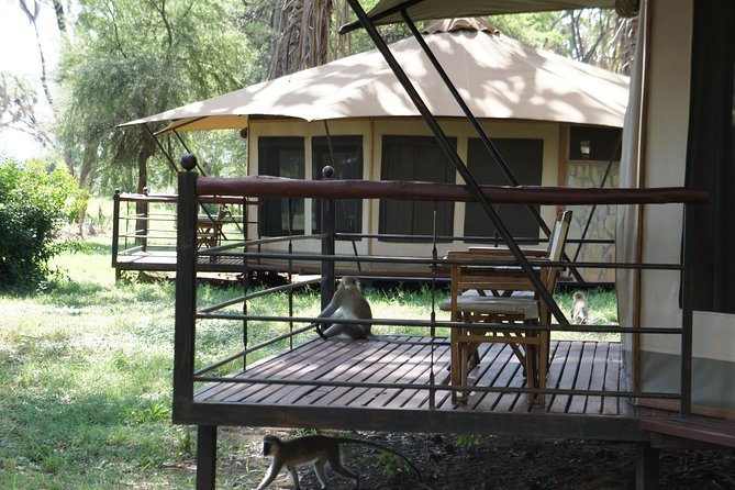 6 Days Private Safari Package Kenya - Customer Reviews and Feedback