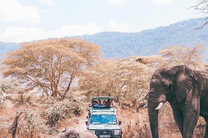 7 Days Great Migration Safari - Booking and Policies