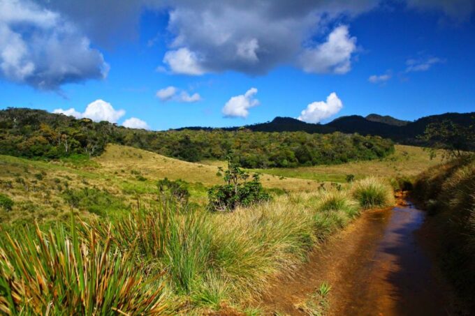 8 Day Tour Sri Lanka With Wildlife & Outdoor Experiences - Wildlife Encounters