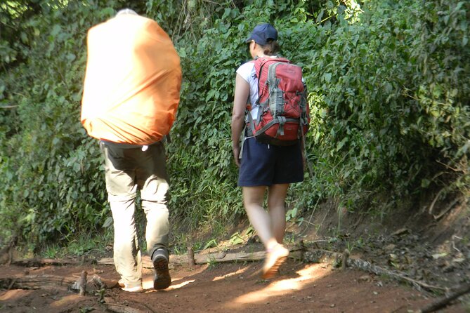 8 Days Kilimanjaro Climbing { Hiking } Tour via Lemosho Route - Frequently Asked Questions