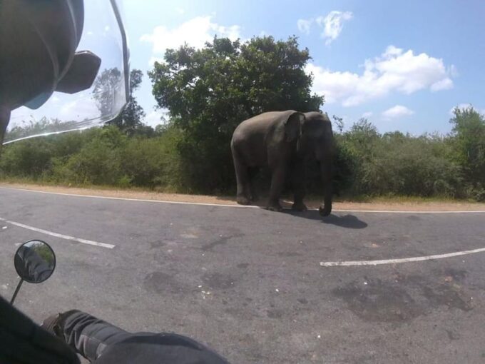 9 Day Sri Lanka Highlights Guided Motorcycle Tour - Scenic Rides and National Parks