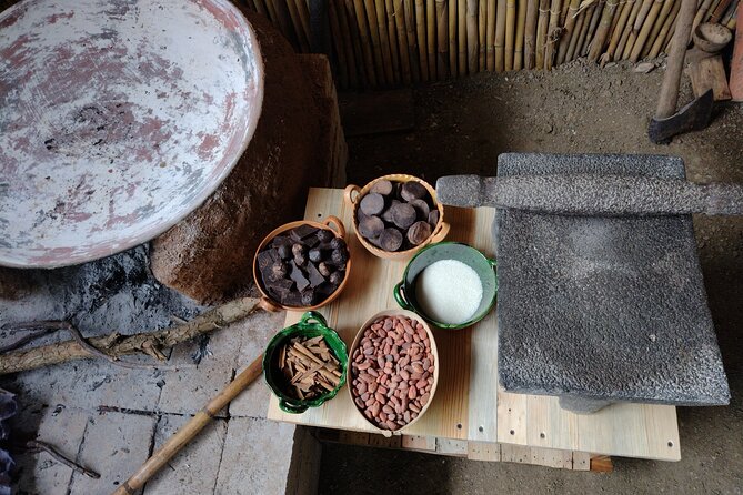 A Day in the Life of a Zapotec Village - Recommendations and Feedback