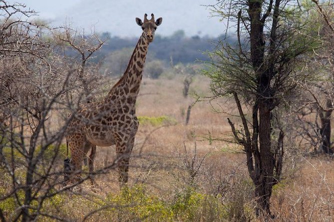 A Day Trip to Saadani National Park From Dar Es Salaam / Zanzibar - Frequently Asked Questions