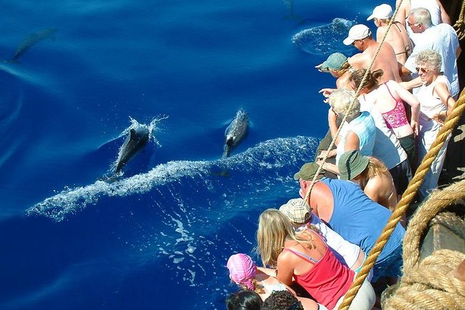 Alanya Boat Trip With Unlimited Soft Drinks and Lunch - Customer Feedback and Experiences