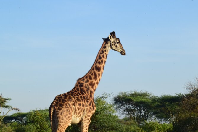 Amazing 4 Days Tanzania Budget Camping Group Joining Safari - Booking Process and Policies