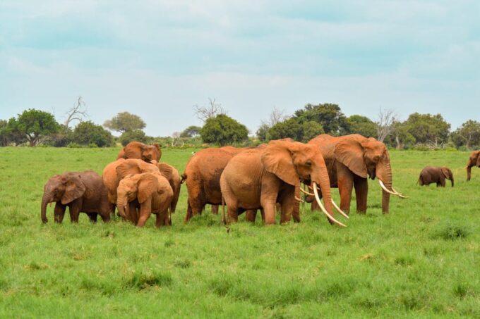 Amazing Sri Lanka 3-Nights Tour - Participant Details