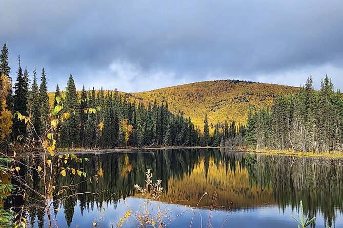 Angel Rocks Hike and Chena Hot-Springs Soak Guided Tour - Traveler Experiences and Recommendations
