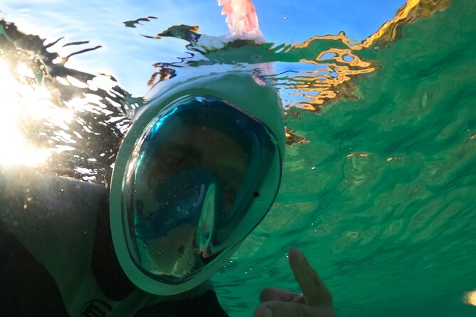 Arrábida Kayaking & Wild Beach Snorkeling/ Pick-Up Available - Terms and Conditions
