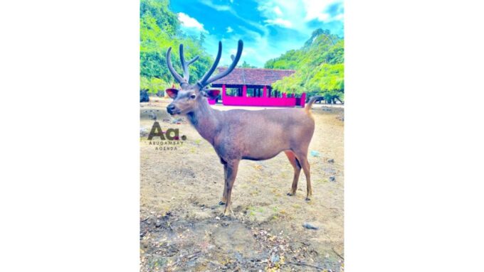 Arugambay: Cultural Excursion & Ancient Visit - Ancient Monastery and Temple