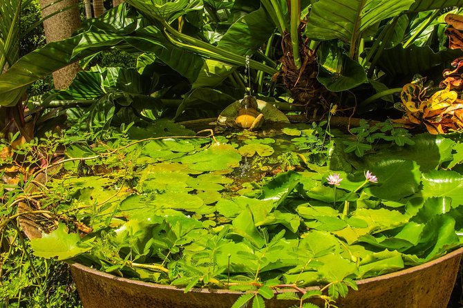 Barbados Botanical Tour - Frequently Asked Questions