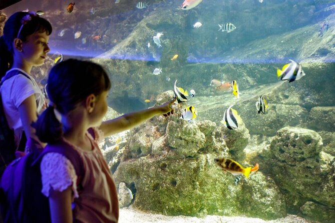 Barcelona City Tour Hop-On Hop-Off and Aquarium - Customer Experiences and Feedback