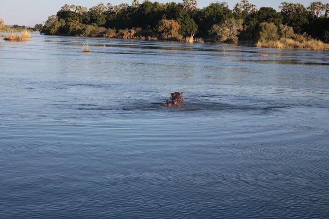 Batoka Africa Sunset Cruise - Glowing Traveler Testimonials