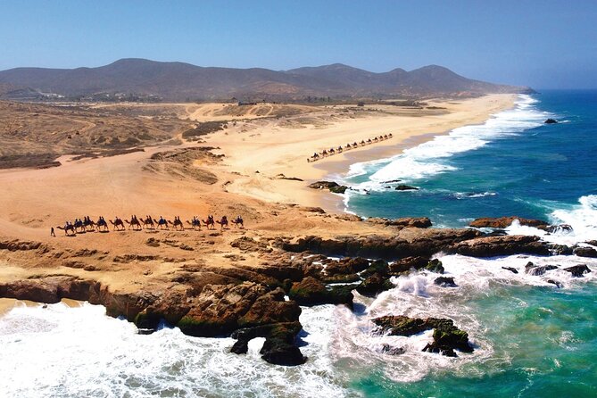 Beach CAN-AM SXS X3 & Camel Ride in Cabo by Cactus Tours Park - Additional Tour Options
