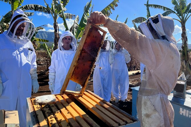 Bee Farm Ecotour and Honey Tasting in Waialua, North Shore Oahu - Traveler Reviews and Recommendations