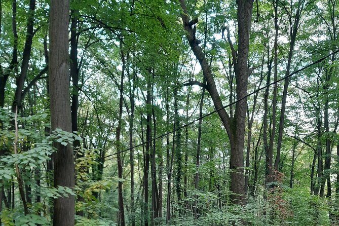 Belgrade Hiking Tour On Mountain Avala - The Sum Up