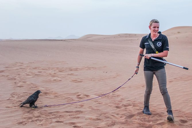 Best of Dubai : Dubai City Tour + Evening Desert Safari With All Activities - Customer Support