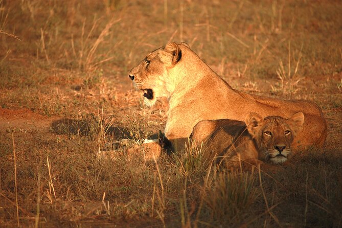 Big Five Luxury Safari in Tanzania - Booking and Cancellation Policies