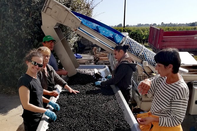 BORDEAUX Region UNCORKED - Private Premium Enological Adventure - Gourmet Lunch With Regional Wines
