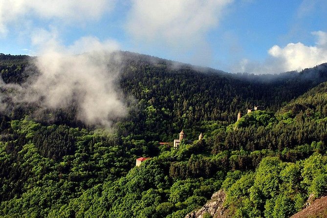 Borjomi, Rabati, Sapara - Private Tour - Customer Reviews and Feedback