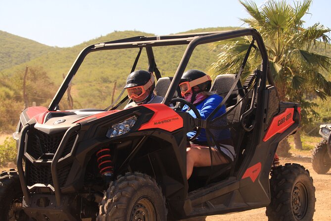 Cabo Migrino Beach & Desert UTV Tour and Tequila Tasting - Tequila Tasting Experience