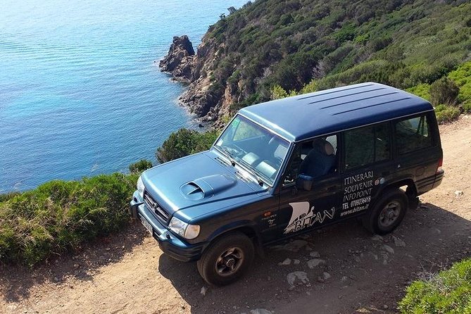 Cagliari: Hidden Coves, Amazing Boat and Jeep Private Tour From Chia - Spotting Marine Wildlife