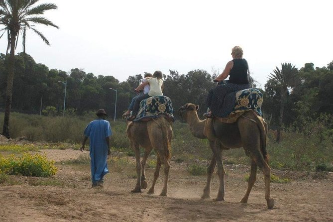 Camel Riding - Tips for a Great Camel Ride
