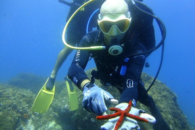 Catania: Scuba Diving Experience - Traveler Recommendations and Ratings