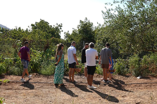 Chania Sourdough Bread Baking Class Olive Oil Tasting - Memorable Experience