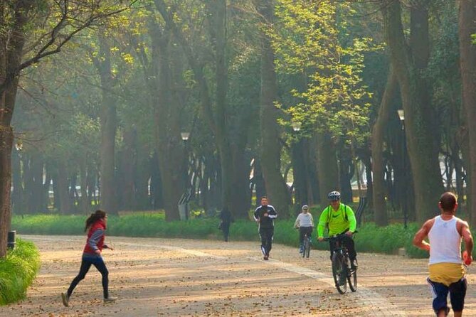 Chapultepec Park by Bike Guided Tour - Frequently Asked Questions