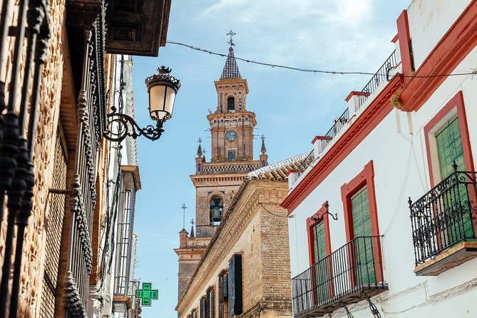 City Discovery: Carmona & Cordoba Private Day Trip - Customer Reviews and Ratings