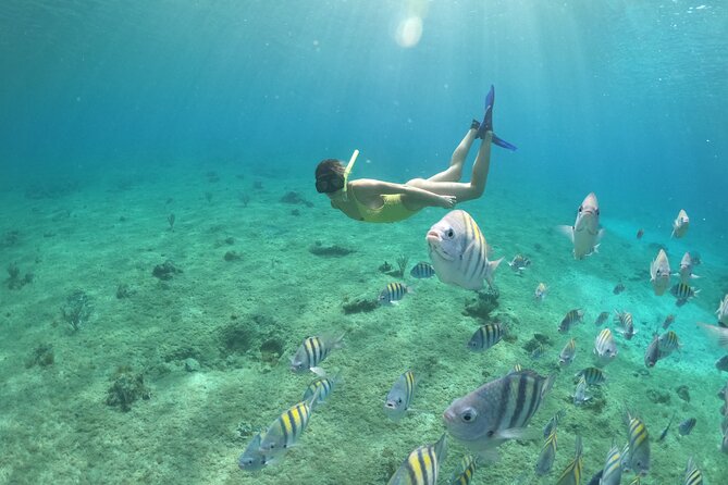 Clear Boat & Snorkel Cozumel Tour With Drinks - Frequently Asked Questions