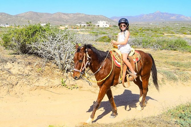 COMBO Horseback Riding & UTV Tour - Adventurous Coastal Exploration