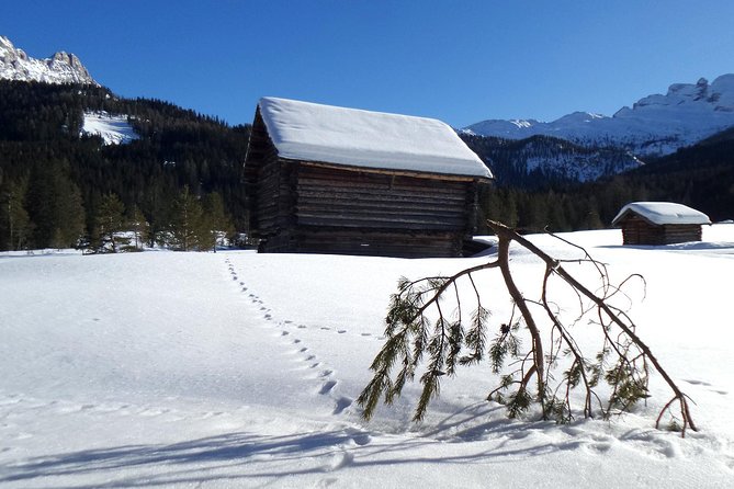 Cortina Dolomites: Winter Hiking & Sledding Experience - Customer Feedback